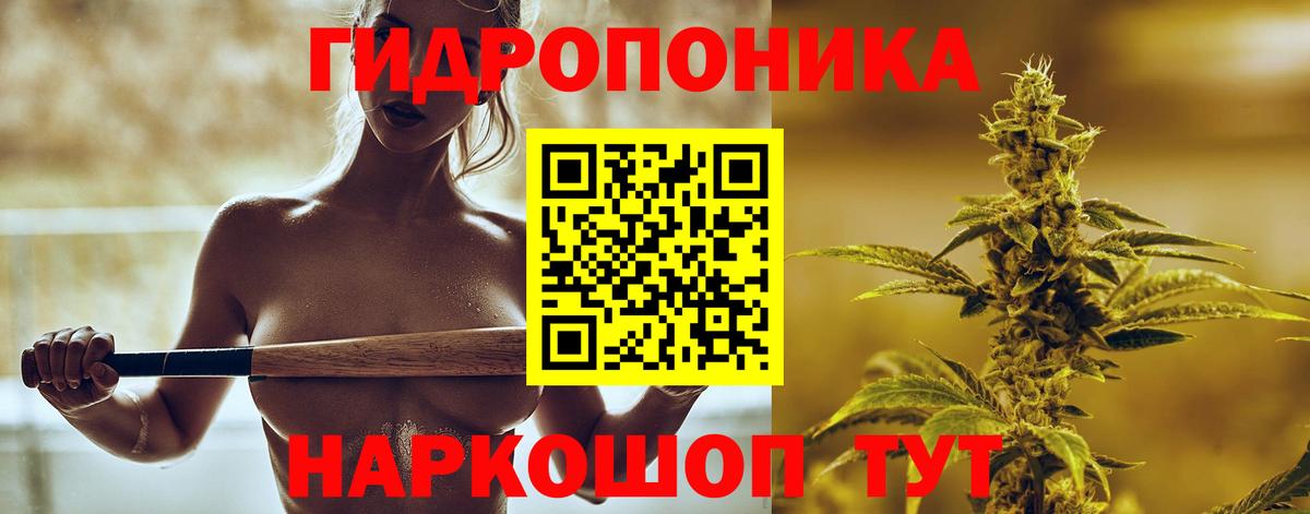 Марихуана марихуана Анжеро-Судженск